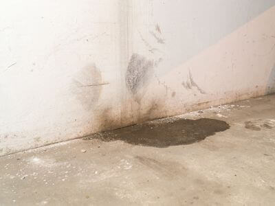 Professional water damage restoration services in Lexington - Lexington Water Damage Restoration Force